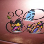 The all important butterflys